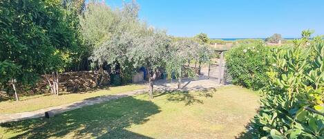 A well-maintained garden with a variety of trees and shrubs, a stone wall, and a clear blue sky.