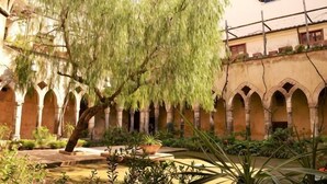 A courtyard with arches, a tree, and potted plants. - Villa L'Ulivina - Indipendent Villa Garden & View (Sorrento)