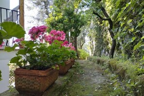A pathway flanked by potted plants with green foliage and pink flowers, leading through a garden area with trees and a white building in the background. - Villa L'Ulivina - Indipendent Villa Garden & View (Sorrento)