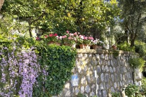 Unclassified image, 2 of 69, button - Villa L'Ulivina - Indipendent Villa Garden & View (Sorrento)