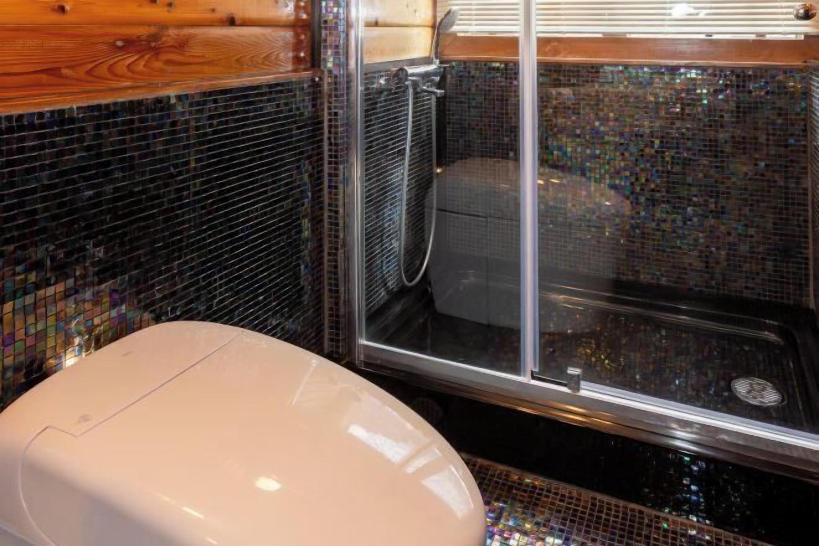 A bathroom with a white toilet, a shower enclosure, and mosaic-tiled walls.