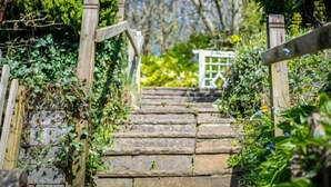 Una escalera de piedra con barandillas de madera, rodeada de follaje y una estructura blanca al fondo.