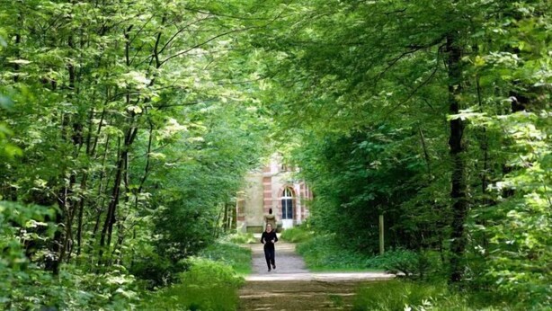 A pathway leading to a building surrounded by lush greenery. - New Studio/Near Airport CDG/Direct Paris center/Disneyland/Villepinte EXPO (Tremblay En France)