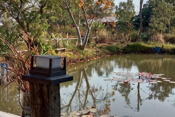 A tranquil pond with lily pads, surrounded by trees and a wooden structure with a light fixture.