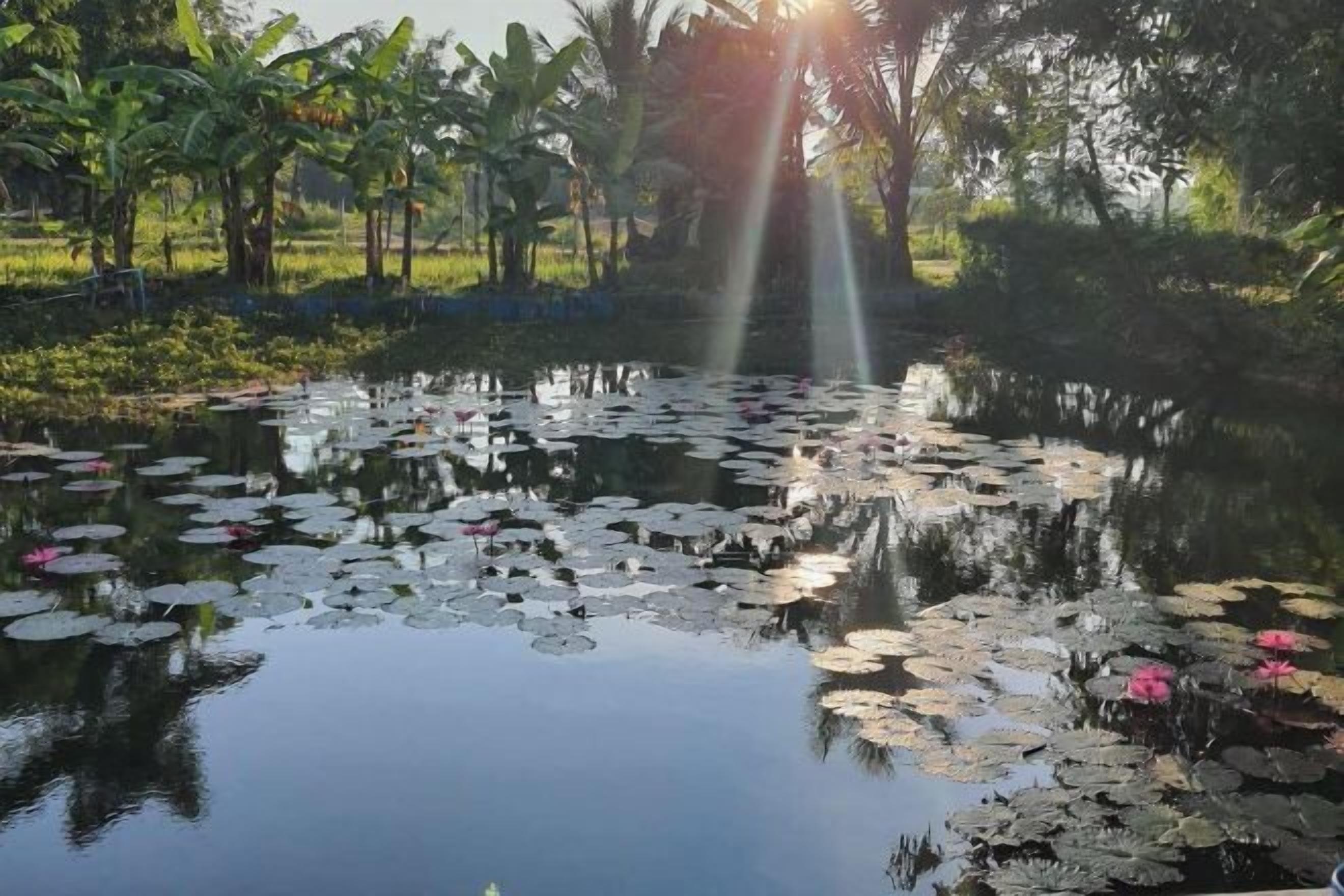 المنشأة من الداخل