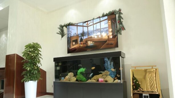 A living room with a large flat-screen TV mounted on the wall, a fish tank, a potted plant, and a small Christmas tree. - ZA'Faron Hotel Jizzax-Department of Management Only (Jizzakh District)