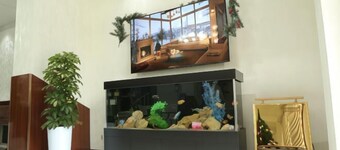 ZA'Faron Hotel Jizzax-Department of Management Only