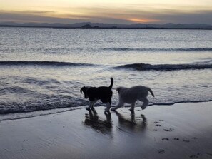 Playa