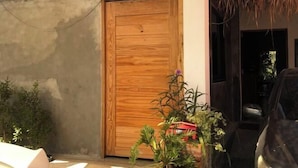 A wooden door, a thatched roof, and a potted plant.