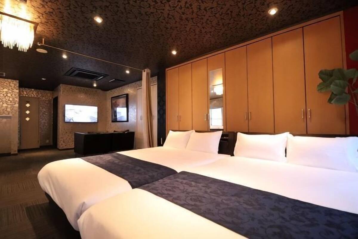 A hotel room with a large bed, a TV, a wardrobe, and a plant.