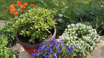 Detalle del exterior