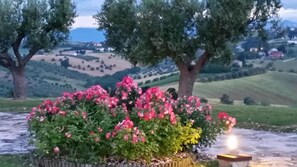 Property grounds - Villa Borsacchio with sea view (Roseto degli Abruzzi)