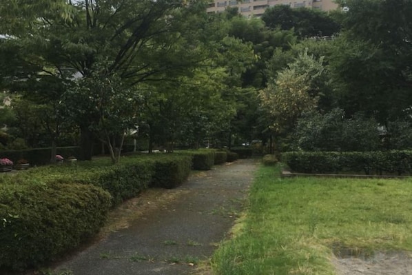 Un sendero en un parque con árboles y setos.