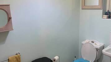 Huis, 3 slaapkamers, toegankelijk voor mindervaliden | Badkamer