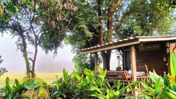 A rustic wooden structure with a sign reading "chill view tong" surrounded by lush greenery and trees. - Num Homestay (Mae Tha)
