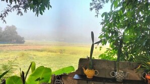 A view of a garden with a brick wall, potted plants, and a teapot. - Num Homestay (Mae Tha)