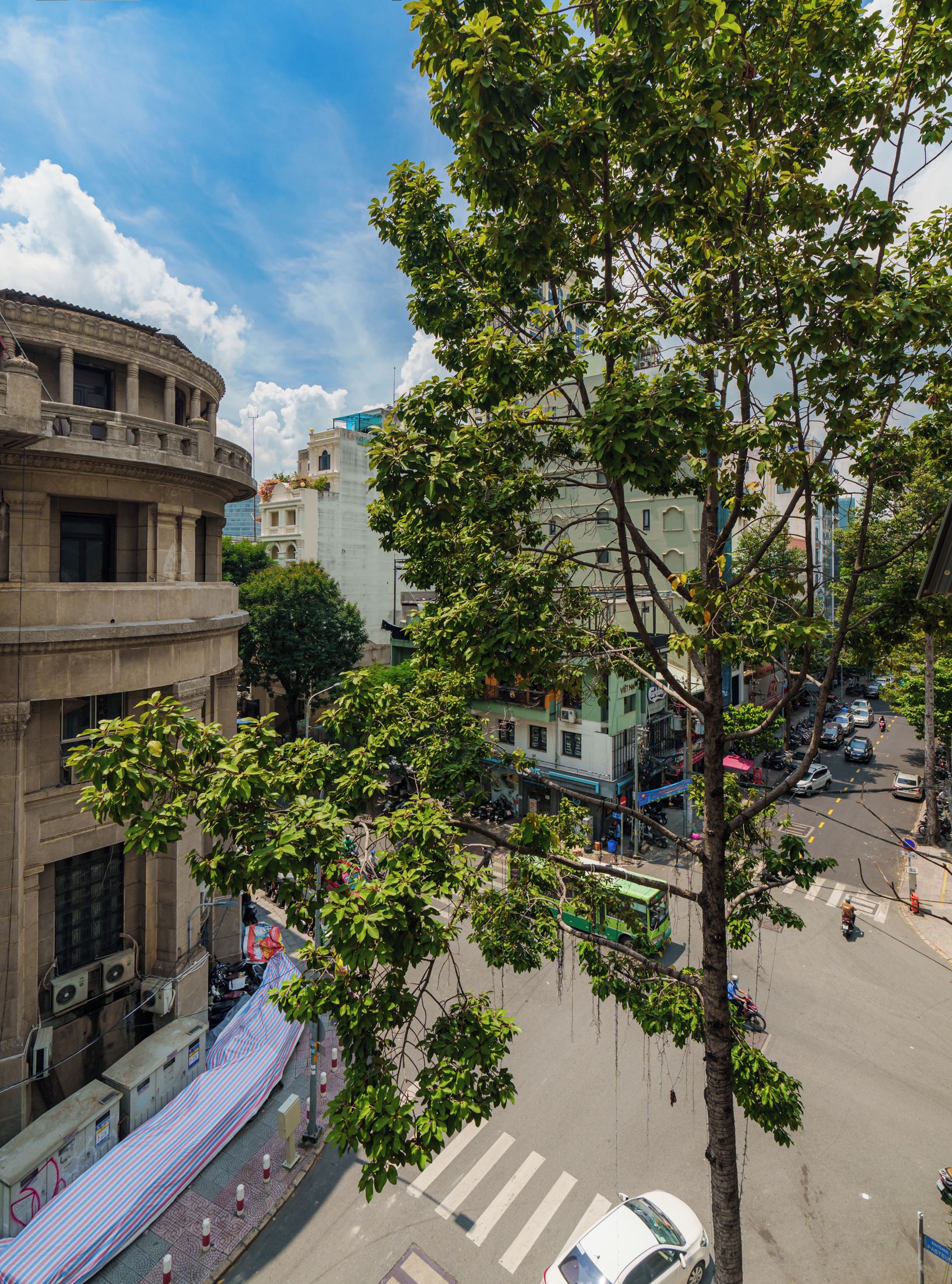 A street view with a tree in the foreground, buildings in the background, and a clear sky.