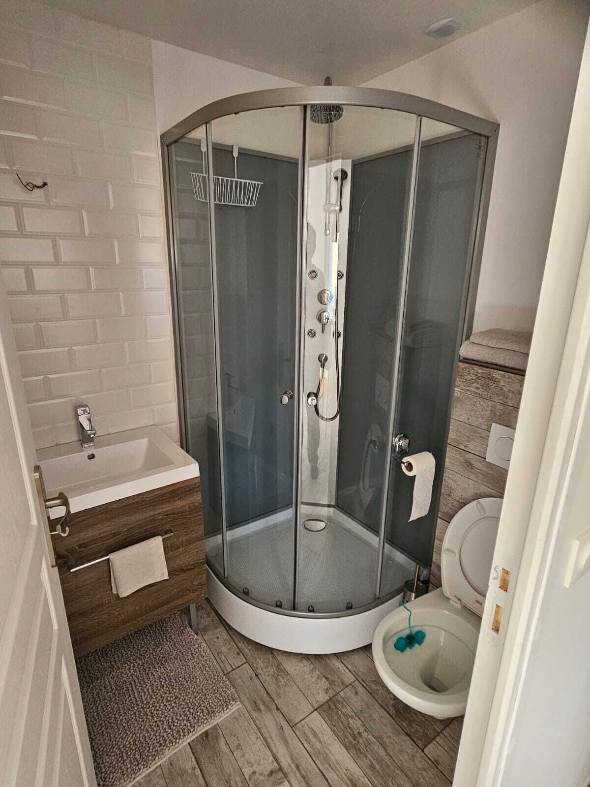 Et moderne badeværelse med en glasafskærmet brusekabine, vask og toilet.