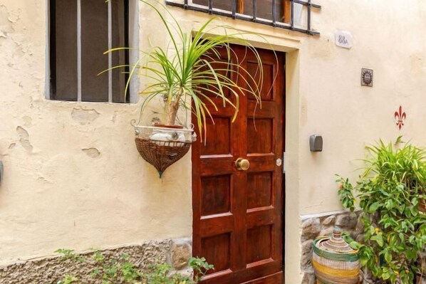 A wooden door with a brass handle, a hanging plant, and a stone wall. - Vintage apartments in the center of Florence (Florence)