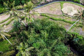Terraced rice fields with palm trees, a winding path, and a dense green forest. - Villa Ganesha by BaliSuperHost (Bali)