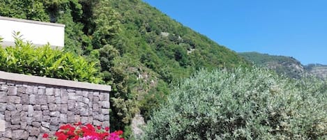 Exterieur