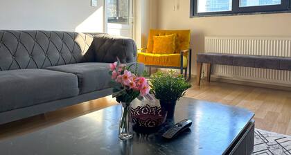 Carefully Designed Studio