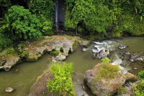 Miscellaneous - Villa Cella Bella : River Villa I ( Bali instaworthy villa ) (Bali)