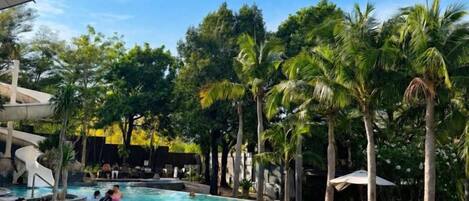 A swimming pool surrounded by palm trees and a modern building structure.