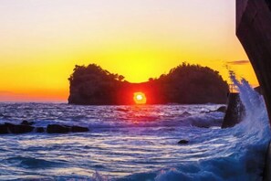 Miscellaneous - Ideal ikunonisi (Osaka)