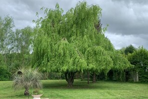 Jardim