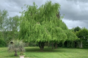 Un gran árbol en un área verde bajo un cielo nublado.