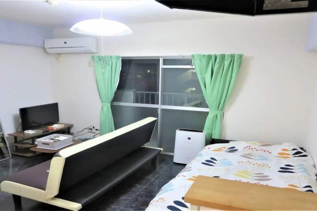 A room with a sofa, a bed, a television, and an air conditioner.