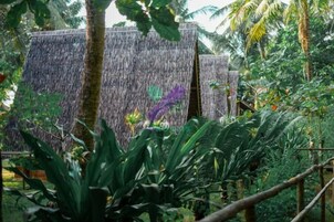 Un jardín tropical con cascada, follaje denso y una cerca de madera.