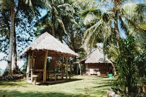 Dos cabañas con techo de paja y estructura de madera, rodeadas de palmeras y follaje.