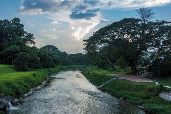 Un río con un sendero a la derecha, rodeado de vegetación y árboles.