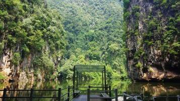 Vista desde la propiedad