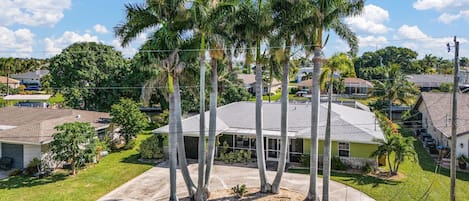A residential area with a house surrounded by palm trees, a well-maintained lawn, and a clear sky.
