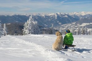 Unclassified image, 2 of 14, button - Luxescape-No 2306-Traumaussicht-Ski & Wandergebiet-Paragleiten-Langlauf-Parkplatz (Treffen bei Villach)