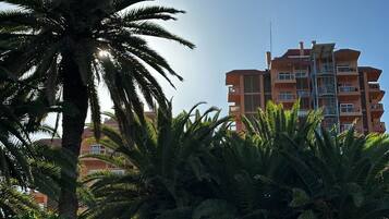 Àrea exterior de l'allotjament