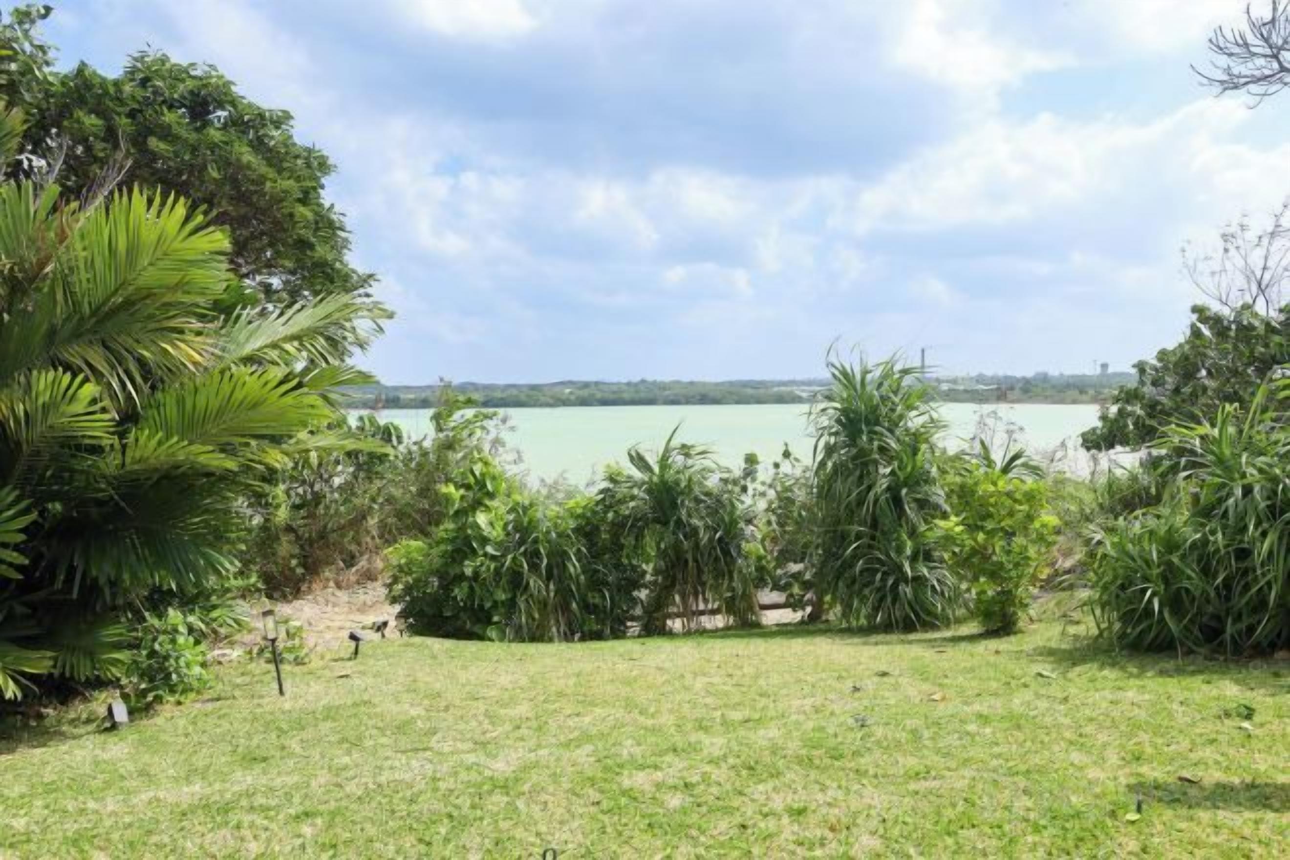 A grassy area with dense vegetation and a view of a body of water.