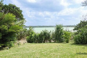 Un'area erbosa con vegetazione fitta e vista su un corpo d'acqua.