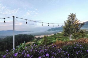 Vista desde la propiedad