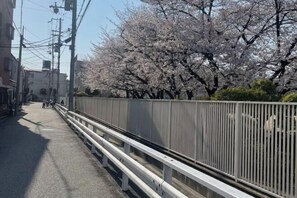 Quang cảnh nhìn từ nơi lưu trú