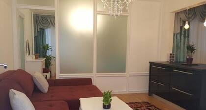 E&E Apartments Free Parking / Sports Arena LJ