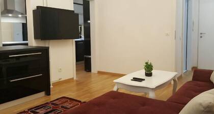 E&E Apartments Free Parking / Sports Arena LJ