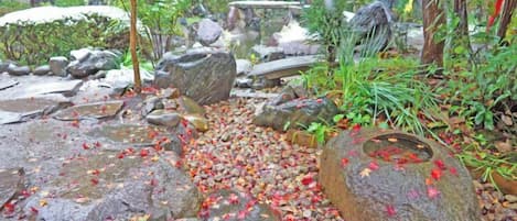 Un jardín con un sendero de piedra, rocas y follaje.