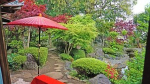 A garden with a stone pathway, a red bench, and a red umbrella. - Iidaya Hotel (Yokohama)