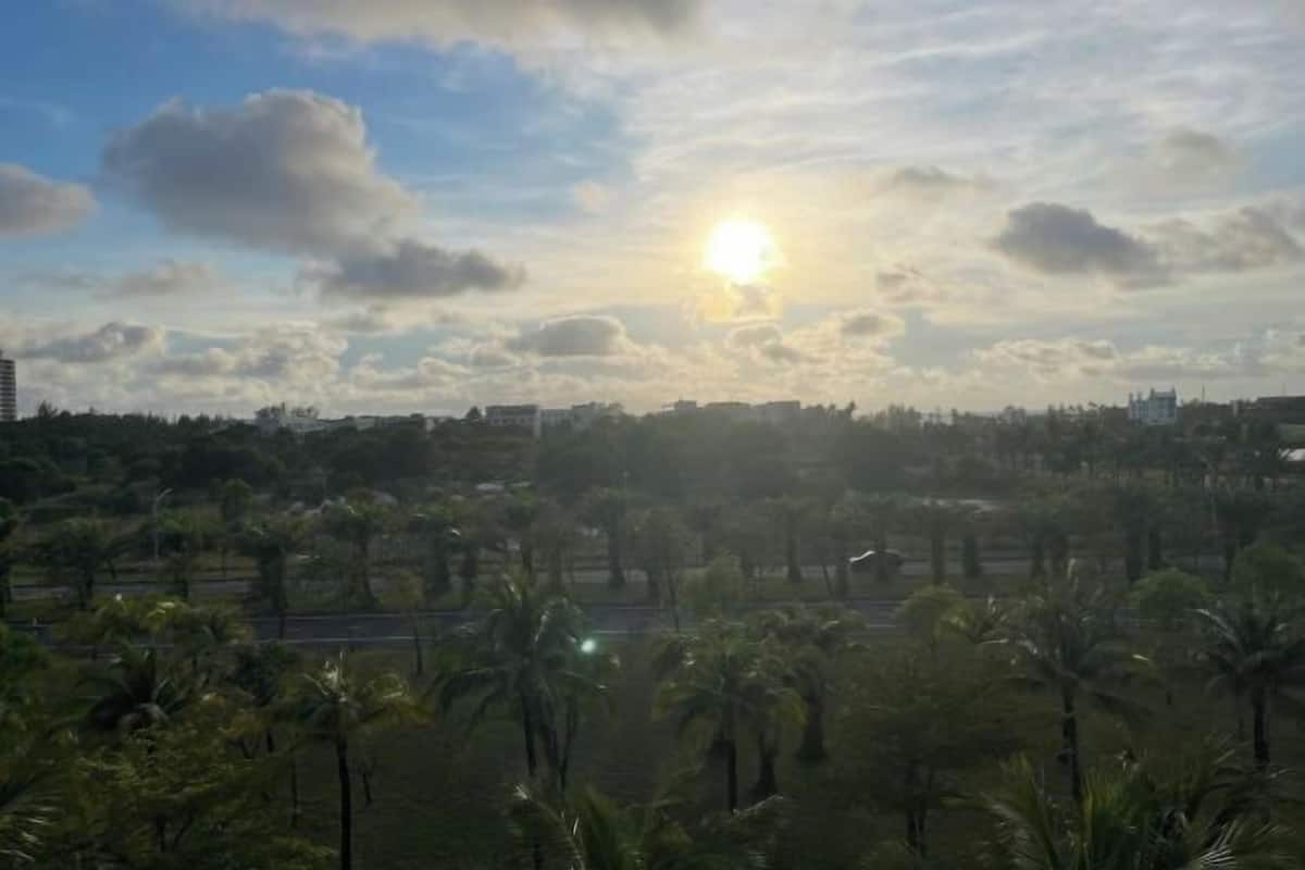 A landscape with palm trees and a road in the foreground, and buildings in the background under a partly cloudy sky with the sun visible.