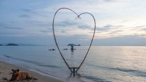 Pantai