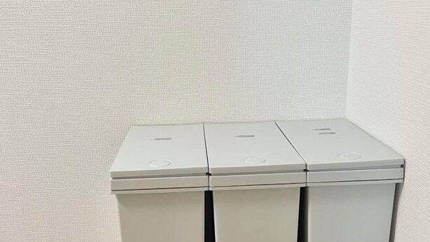 Un cestino bianco con tre scomparti.